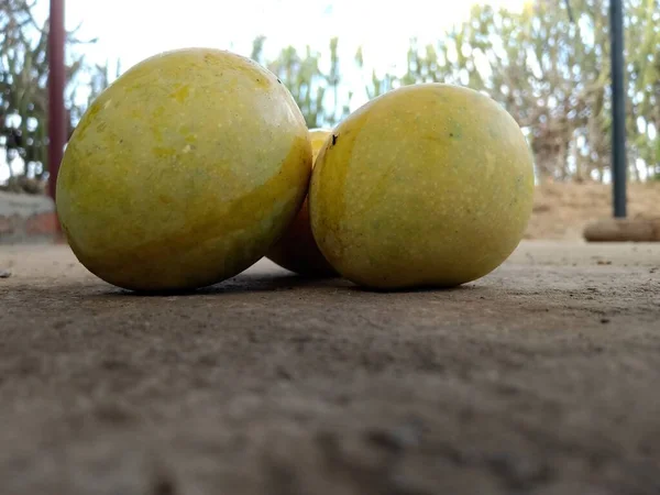 Mangga Segar Dari India Telah Jatuh Tanah — Stok Foto