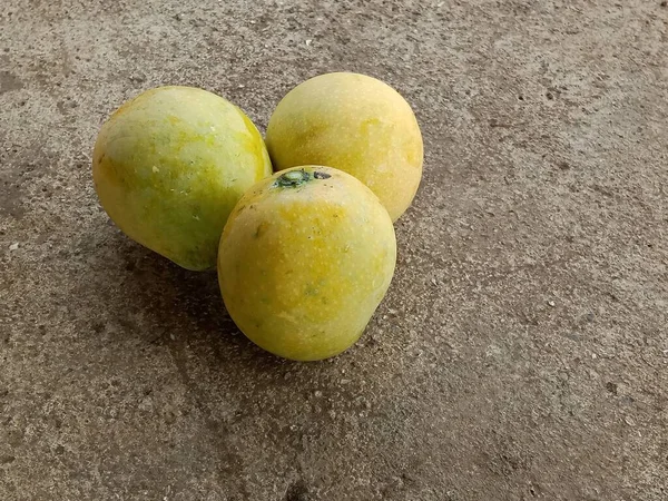 Mangga Segar Dari India Telah Jatuh Tanah — Stok Foto