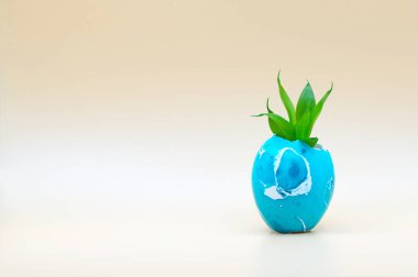 Paskalya yumurtasından filizlenen bir filiz.