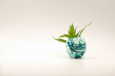 Paskalya yumurtasından filizlenen bir filiz.