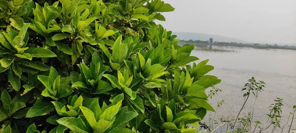 水を永遠にダムの背景屋外の美しい風景画像 — ストック写真