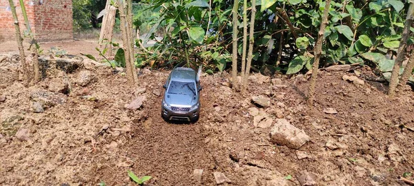 Çocuk oyuncakları güzel manzara arka plan yeşil park bitkisi