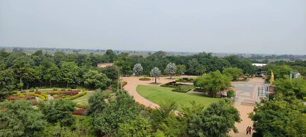 緑の自然公園植物と花の美しい風景背景画像 — ストック写真