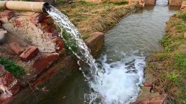 Buğday tarlasındaki büyük pompa tüpünden akan suyun yavaş çekim görüntüsü. 4k