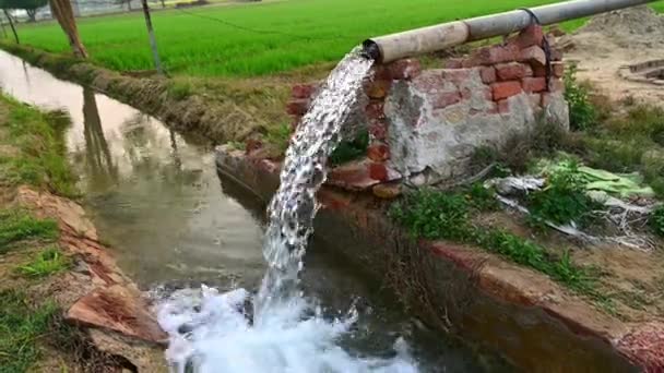 Víz Egy Mezőgazdasági Ipari Csőből Folyik Földeken — Stock videók