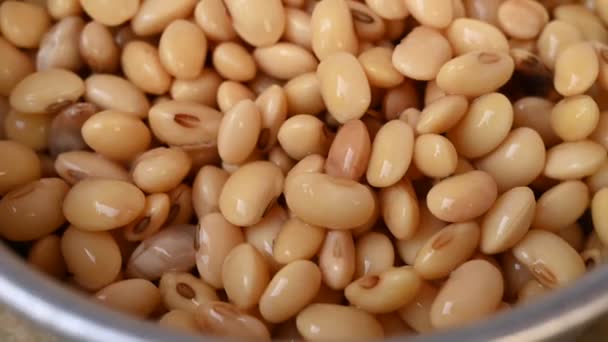 Closeup Navy Beans Bowl — Stockvideo