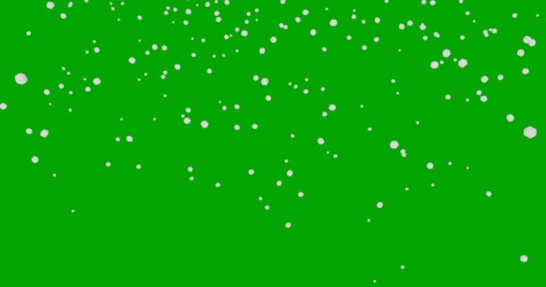 Snow Falling Animation Green Screen — Vídeo de stock
