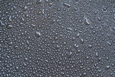 Damlalar, damlalar, damlalar, boncuklar, siyah teflon yüzeyine su damlaları. Tek renkli siyah beyaz makro veya yakın plan arkaplan veya doku