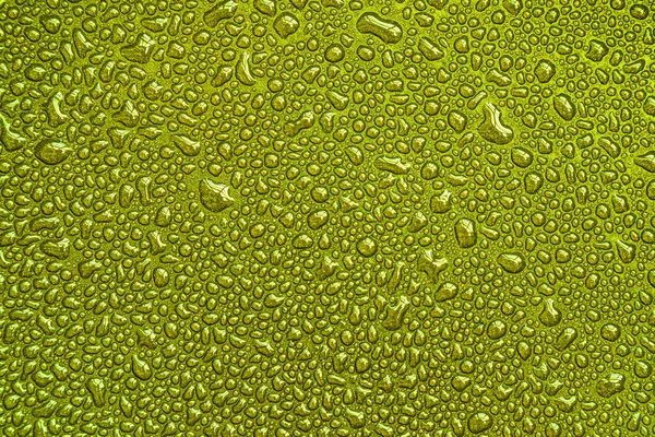 Gotas Gotas Bolhas Contas Gotas Água Superfície Brilhante Verde Monocromático — Fotografia de Stock