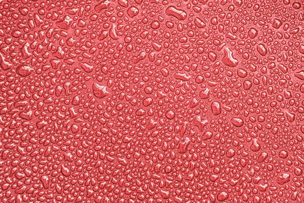 Gotas Gotas Bolhas Contas Gotas Água Superfície Brilhante Vermelha Rosa — Fotografia de Stock
