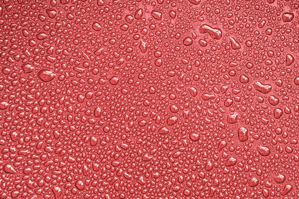 Gotas Gotas Bolhas Contas Gotas Água Superfície Brilhante Vermelha Rosa — Fotografia de Stock