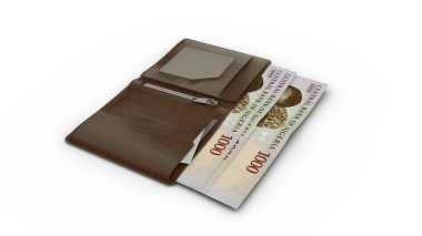 Cüzdanında Nijerya Naira notlarının 3D canlandırması