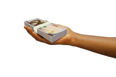3D el ele tutuşan Nijerya Naira notları beyaz arka planda izole edildi