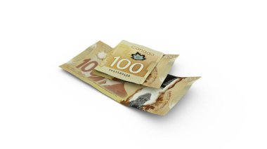 Çift Kanadalı dolarların üç boyutlu yorumlanması beyaz arka planda izole edildi