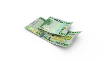 3D rendering of Double Sierra Leonean Leone notes isolated on white background
