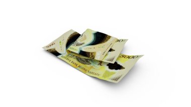 3D rendering of Double Vanuatu vatu notes isolated on white background