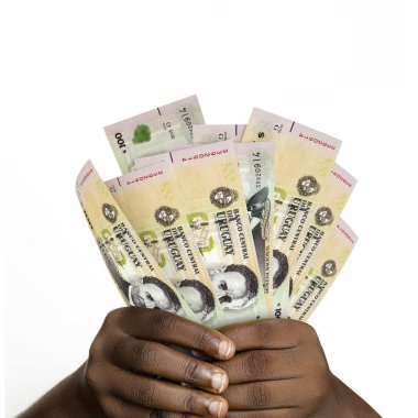 Black hands holding 3D rendered 100 Peso Uruguayo notes. closeup of Hands holding Uruguay currency notes