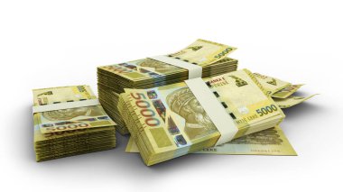 3D Stack of 5000 Albanian lek notes