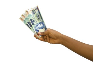 Fair hand holding 3D rendered 100 Belize dollar notes isolated on white background