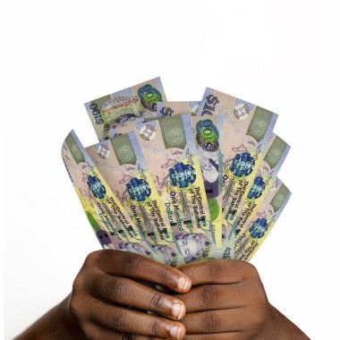 hands holding 3D rendered 100 Bahamian dollar notes. closeup of Hands holding Bahamian currency notes