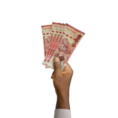 3D yığın 10000 Tanzanya Şilini