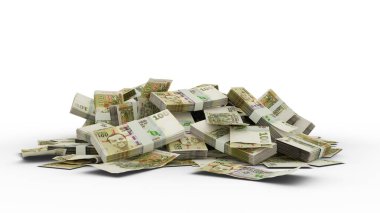 Beyaz arkaplana izole edilmiş 3 boyutlu Swazi lilangeni notları