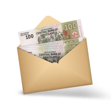 Swazi lilangeni notes inside an open brown envelope. 3D illustration of money in an open envelope