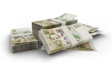 Beyaz arkaplana izole edilmiş 3 boyutlu Swazi lilangeni notları