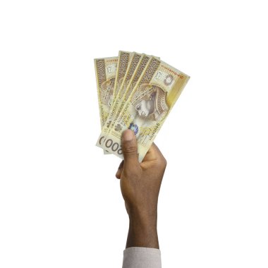 Black Hand holding 3D rendered polish zloty notes