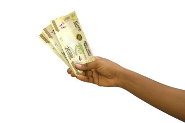 Fair hand holding 3D rendered Malagasy ariary notes isolated on white background