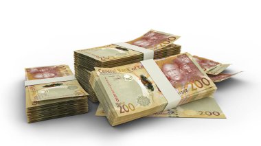 Üç Boyutlu Lesothan Loti Yığını