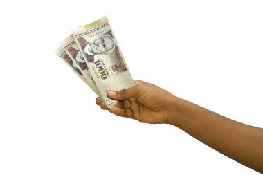 3D beyaz arka planda izole edilmiş 1000 Haiti kabağı kabağı elde