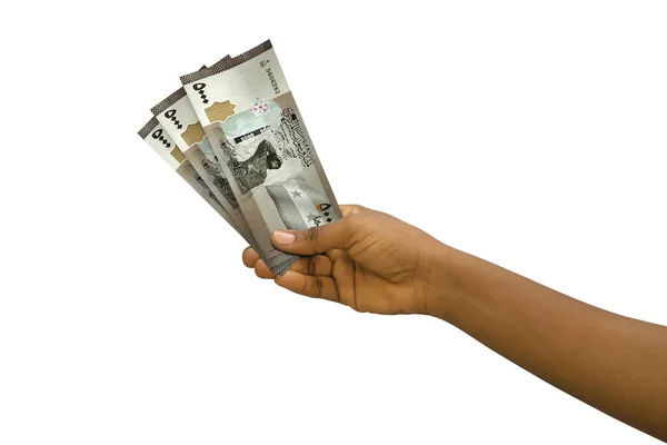 Fair Hand Holding Rendered Syrian Pound Notes Isolated White Background — Stock Fotó