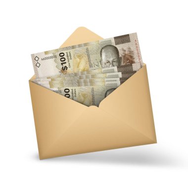 Açık kahverengi bir zarfın içinde 100 dolarlık Bahama banknotları. Açık bir zarfta üç boyutlu para illüstrasyonu
