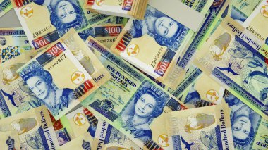 Yüzeye yayılmış 100 dolarlık Belize banknotlarının 3D görüntülenmesi