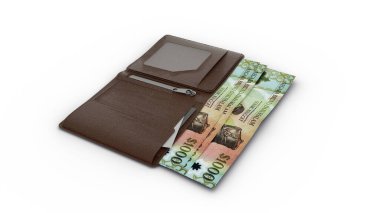 Cüzdandaki Brunei dolar notlarının 3D görüntülenmesi