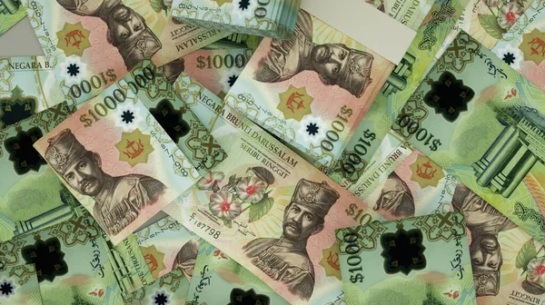 Yüzeye yayılmış 1000 dolarlık Brunei banknotlarının 3D görüntülenmesi