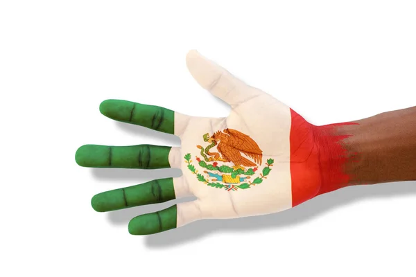 멕시코 색상의 손바닥 배경에 — 스톡 사진