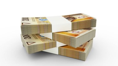 200 Polonyalı zloti banknotunun 3D kopyası. Beyaz arkaplanda çok az Polonya para birimi izole edilmiş