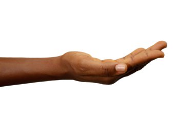 Siyah palmiyeyi aç, elini aç, beyaz arka planda izole edilmiş. Açık tenli