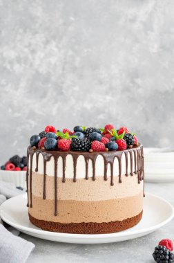 Çikolata jöleli üç çikolatalı kek, yaban mersini, ahududu ve böğürtlen gri bir arka planda beyaz bir tabakta. Üç farklı tat katmanlı pasta. Boşluğu kopyala