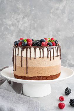 Çikolata jöleli üç çikolatalı kek, yaban mersini, ahududu ve böğürtlen gri bir arka planda beyaz bir tabakta. Üç farklı tat katmanlı pasta. Boşluğu kopyala