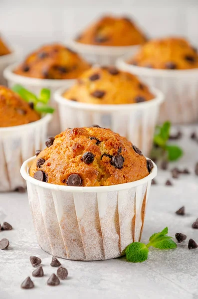 Muffin Con Gocce Cioccolato Sfondo Grigio Cemento Copia Spazio — Foto Stock