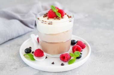 Taze yaban mersini, ahududu ve böğürtlenli cam bir kavanozda gri bir arka planda üç çikolata. Üç farklı tat katmanlı tatlı. Boşluğu kopyala