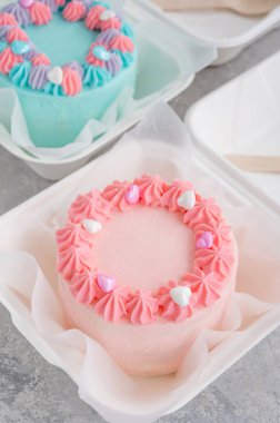 Bento keki. Beslenme çantasındaki farklı küçük pasta. Asya yemekleri trendi. Her tatil için güzel bir hediye.