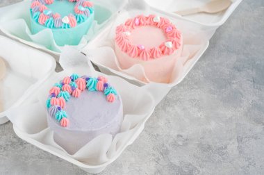 Bento keki. Beslenme çantasındaki farklı küçük pasta. Asya yemekleri trendi. Her tatil için güzel bir hediye.