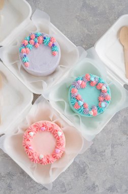 Bento keki. Beslenme çantasındaki farklı küçük pasta. Asya yemekleri trendi. Her tatil için güzel bir hediye.