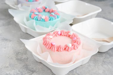 Bento keki. Beslenme çantasındaki farklı küçük pasta. Asya yemekleri trendi. Her tatil için güzel bir hediye.