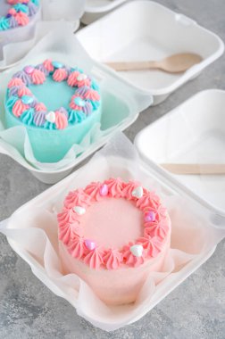 Bento keki. Beslenme çantasındaki farklı küçük pasta. Asya yemekleri trendi. Her tatil için güzel bir hediye.