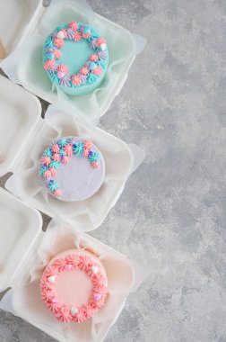 Bento keki. Beslenme çantasındaki farklı küçük pasta. Asya yemekleri trendi. Her tatil için güzel bir hediye.